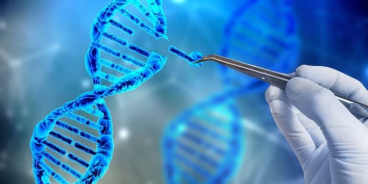 Errichtung eines fortschrittlichen Zentrums für Gentherapie in Katar